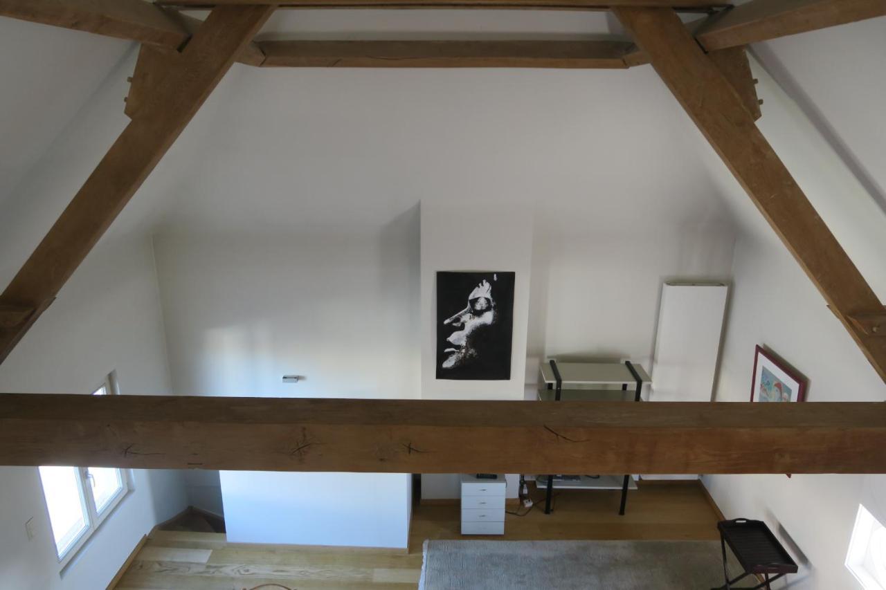B&B / Studio De Druivelaar In Hartje Kluisbergen Kültér fotó